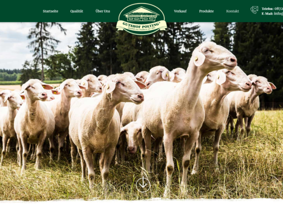 FireShot Capture 012 - Gutshof Polting – Poltinger Lamm aus Niederbayern - gutshof-polting.de